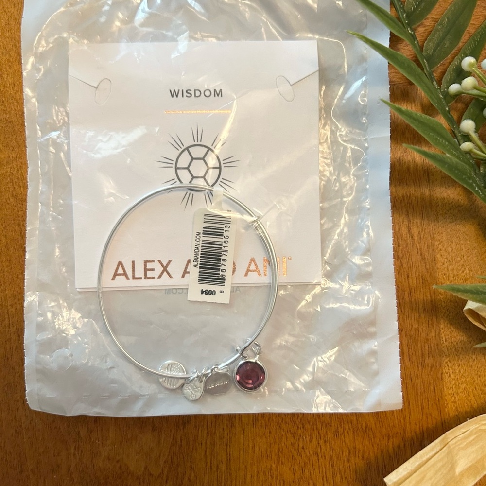 Alex and Ani Feb Birthstone Bangle
